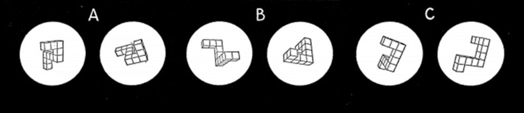 Measuring spatial thinking with real-world tasks – Psychonomic Society ...