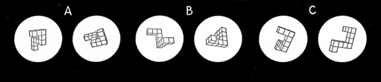 Measuring spatial thinking with real-world tasks – Psychonomic Society ...