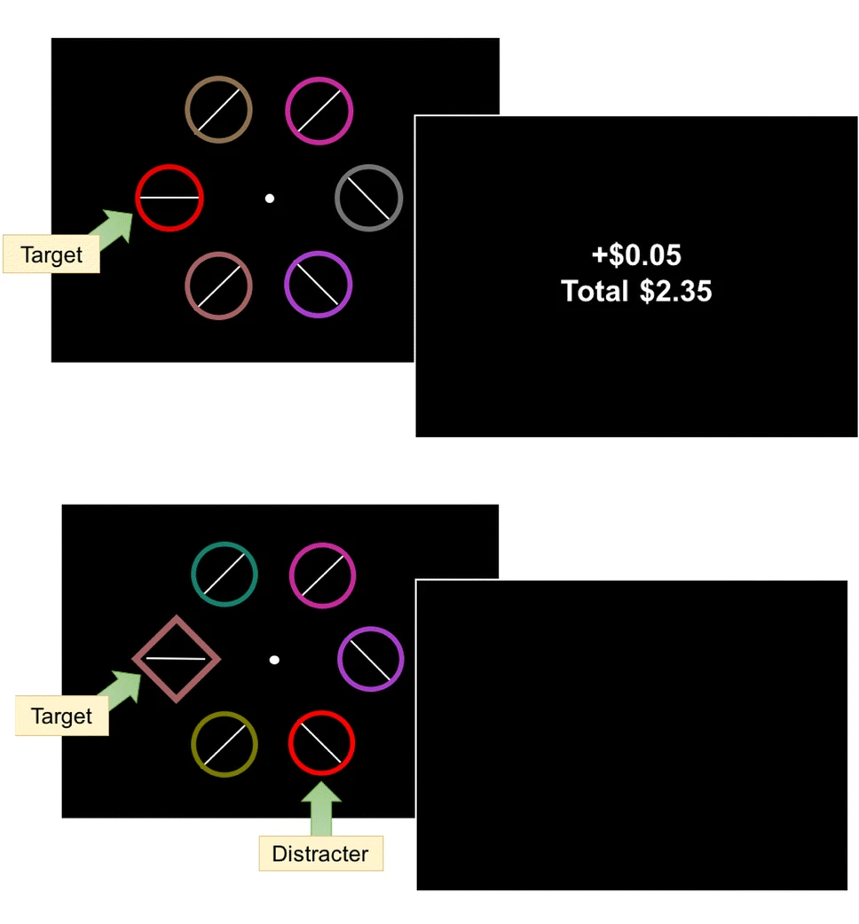 Example displays for learning phases (top) and test phases (bottom) in typical VDAC studies. In the learning phase, participants are rewarded for responding to red or blue circles, but they are not rewarded for any responses in the test phase.