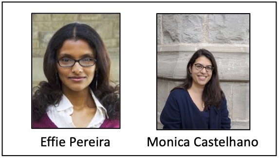 Pereira 2019 Authors