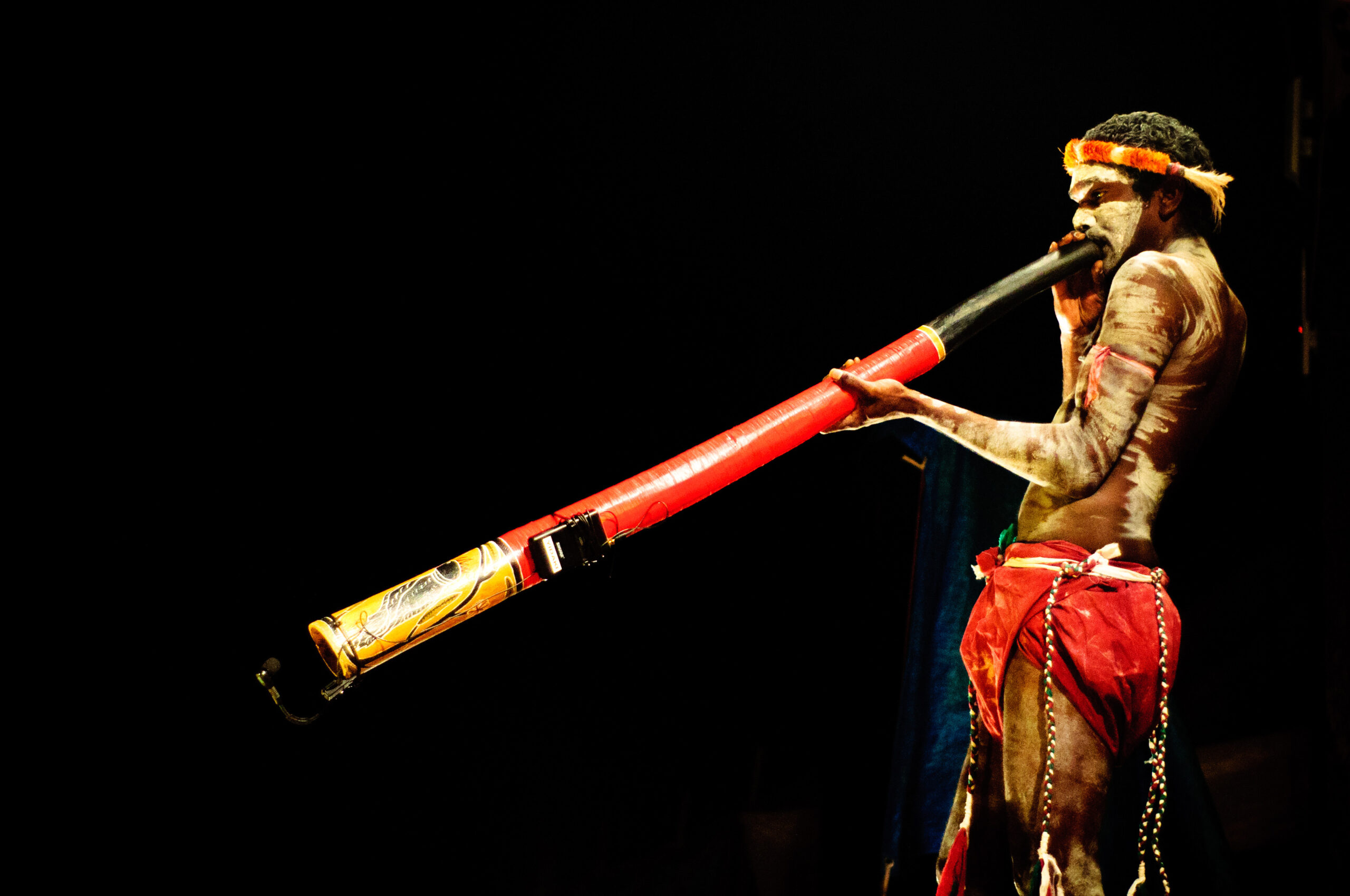 A young man from Yirrkala, Australia dressed in traditional Aboriginal garb and with white body paint playing this instrument.