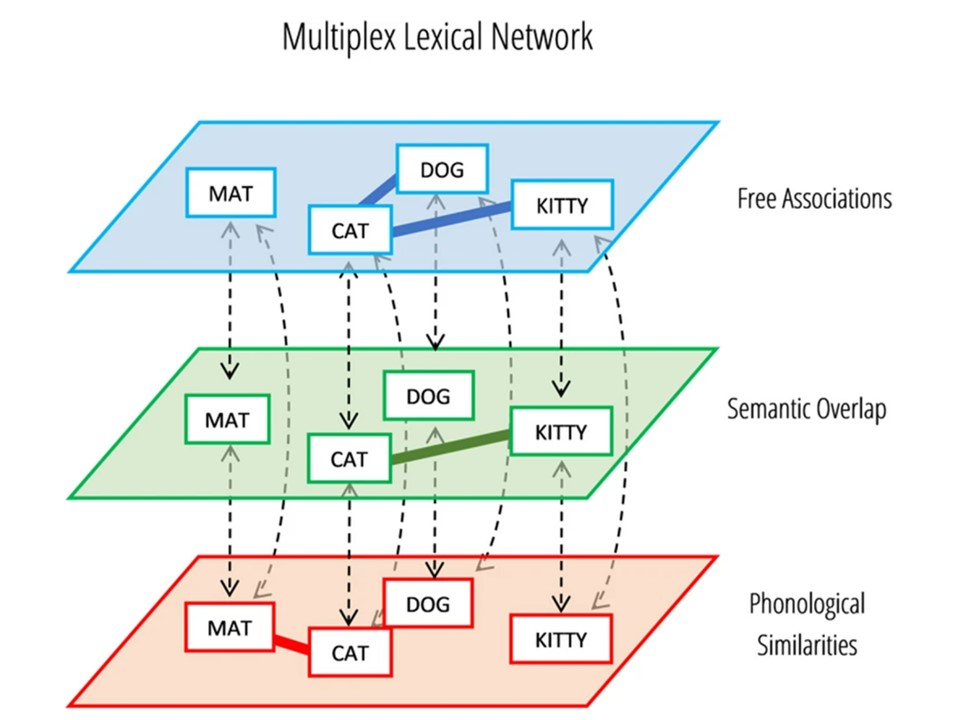 This multiplex network also has three layers, labeled ‘phonological similarities’, ‘semantic overlap’, and ‘free associations.’ The same four nodes appear in every layer, but the connections between nodes in the same layer differ between layers. The first layer, ‘phonological overlap’, connects words that share sounds like “mat” and “cat.” The second layer, ‘semantic overlap’, connects words that share meaning like “cat” and “kitty.” The third and final layer of this network is ‘free associations’ and connects words that appear in similar contexts such as “dog” and “cat.” 