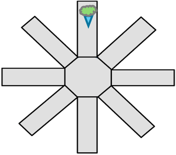 Radial maze with a central platform and 8 arms 