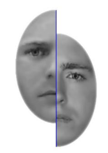 Example of a misaligned face composite.