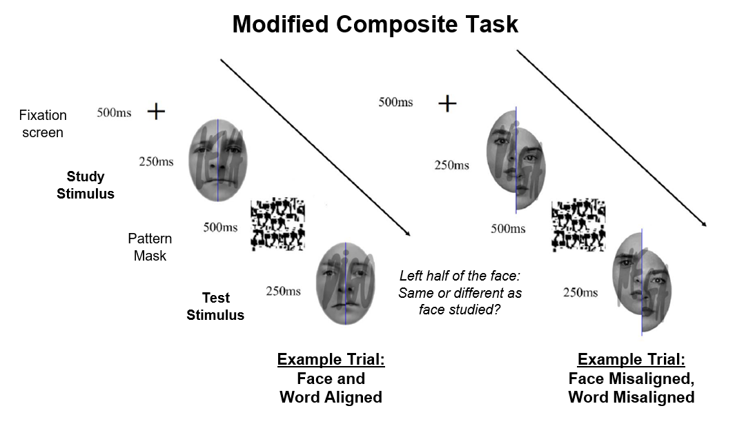 Illustration of modified composite task.